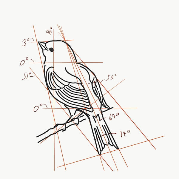 Adobedrawを使ってやさしい鳥の描き方 Alicemix