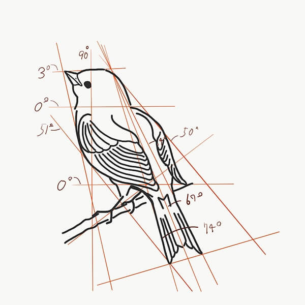 Jpsaepicttxli ベストコレクション リアル 鳥 イラスト 書き方